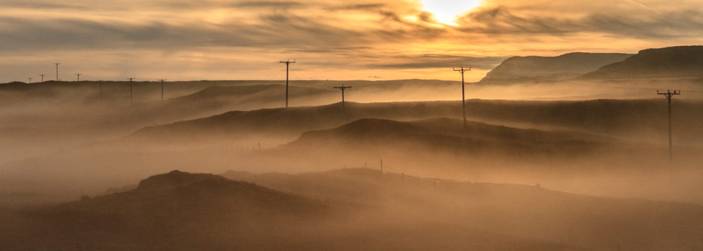 misty morning & electricity poles